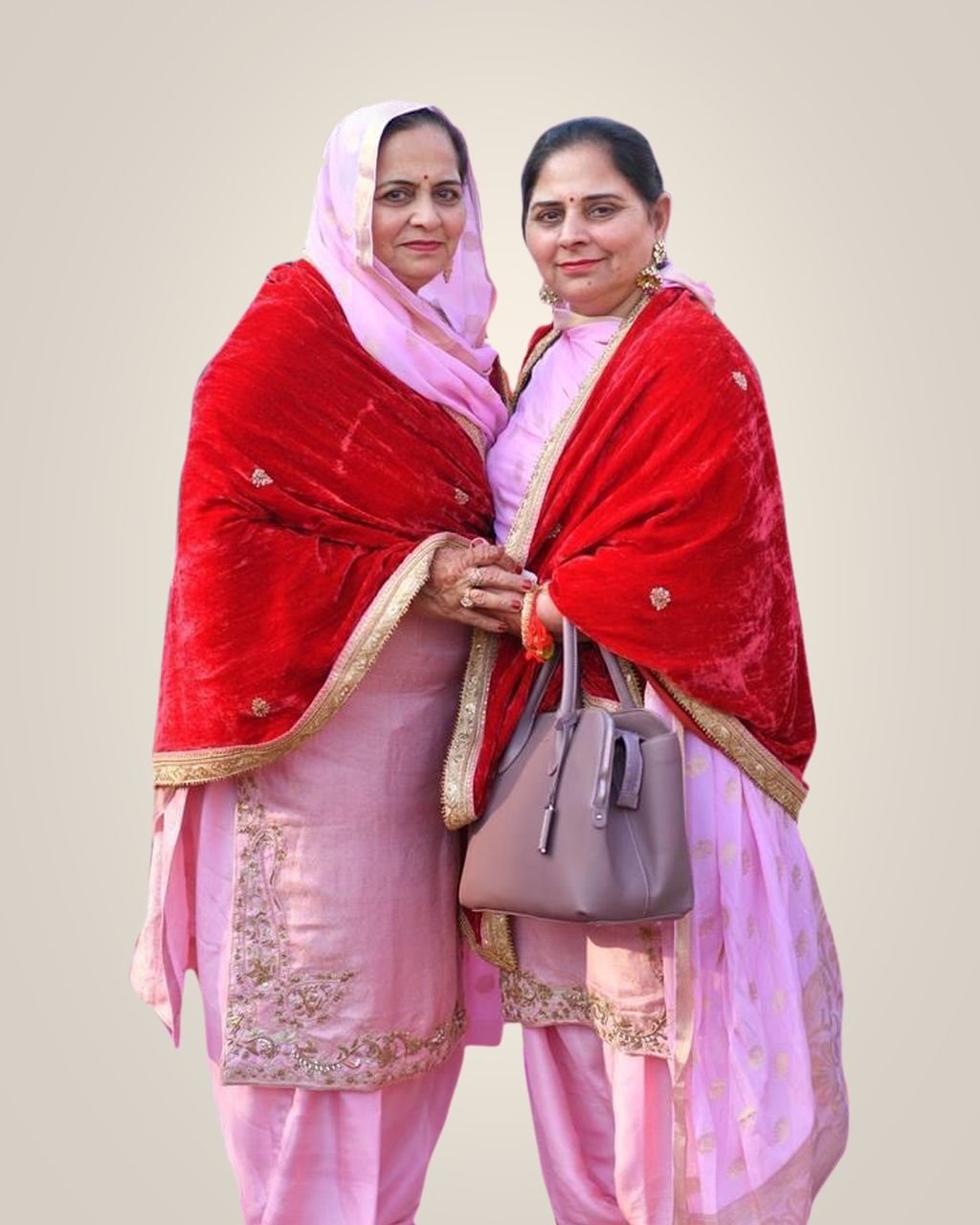 Woman Traditional Punjabi Dress Stock Photo 113672860 | Shutterstock